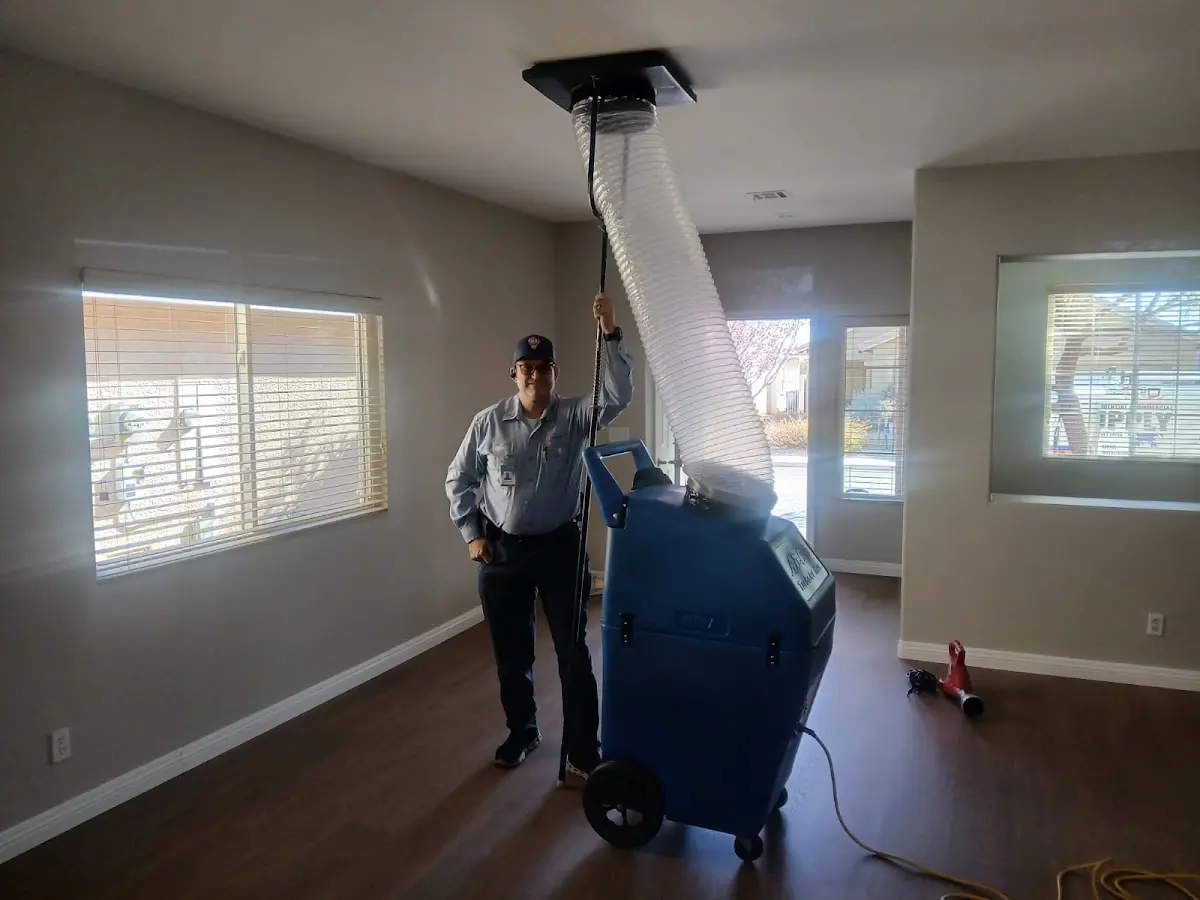 Professional Dryer Vent Cleaning work inside a Sebastopol home